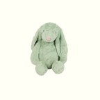 Personalized Easter Bunnies